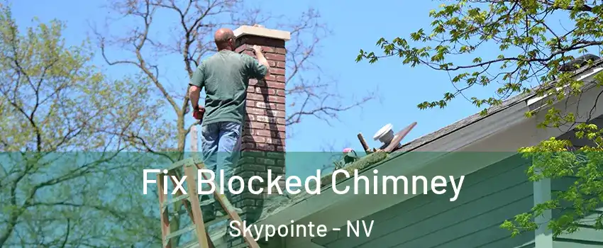 Fix Blocked Chimney Skypointe - NV