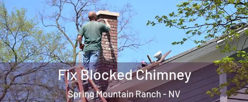 Fix Blocked Chimney Spring Mountain Ranch - NV