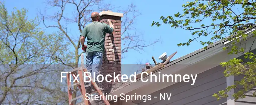 Fix Blocked Chimney Sterling Springs - NV