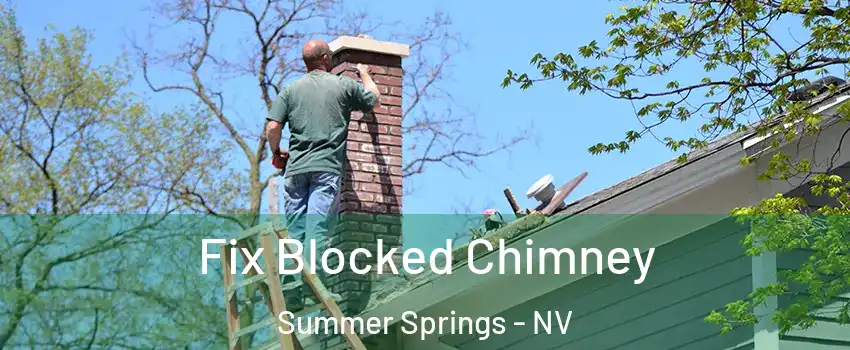 Fix Blocked Chimney Summer Springs - NV