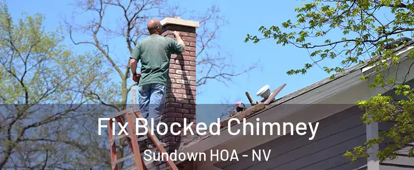 Fix Blocked Chimney Sundown HOA - NV