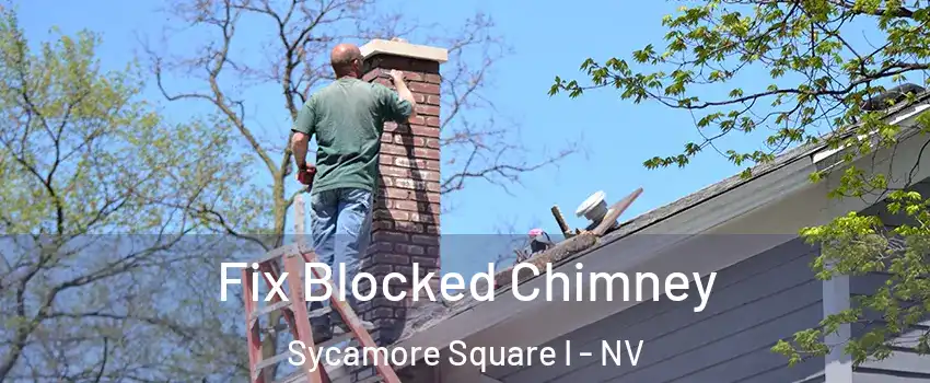 Fix Blocked Chimney Sycamore Square I - NV