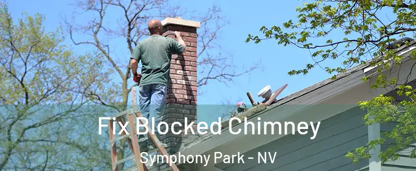 Fix Blocked Chimney Symphony Park - NV