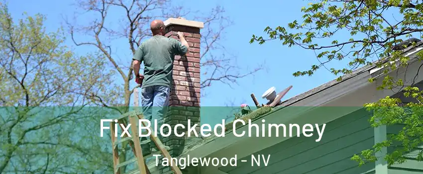 Fix Blocked Chimney Tanglewood - NV