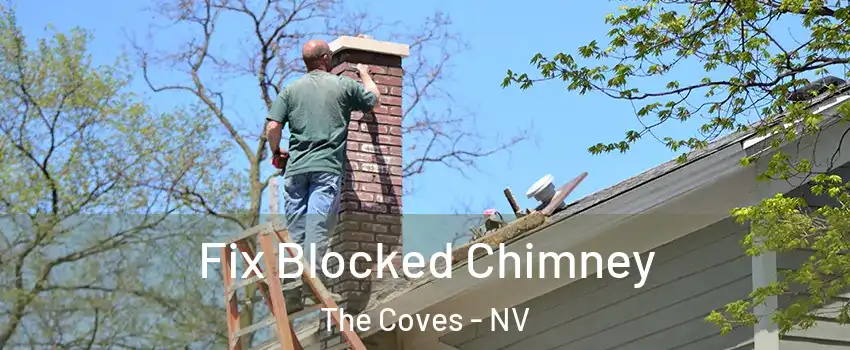 Fix Blocked Chimney The Coves - NV