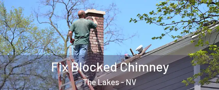 Fix Blocked Chimney The Lakes - NV