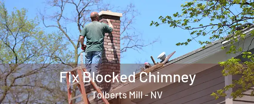 Fix Blocked Chimney Tolberts Mill - NV