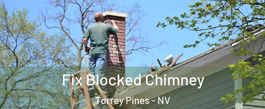 Fix Blocked Chimney Torrey Pines - NV