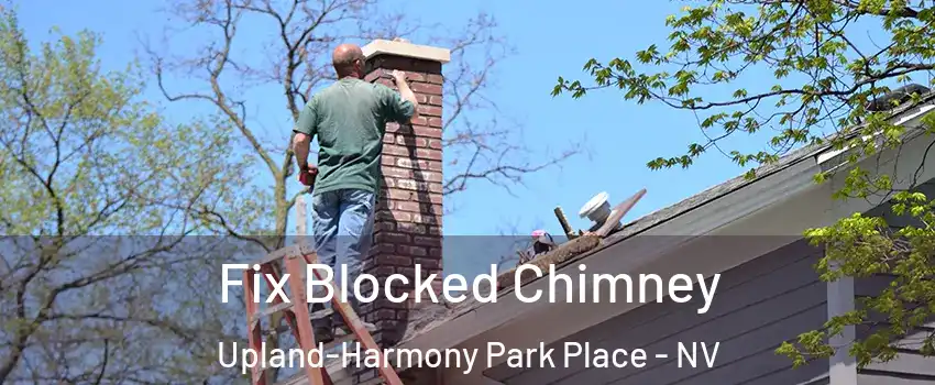 Fix Blocked Chimney Upland-Harmony Park Place - NV