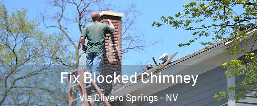 Fix Blocked Chimney Via Olivero Springs - NV
