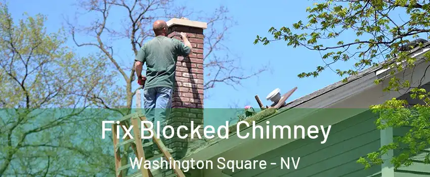 Fix Blocked Chimney Washington Square - NV