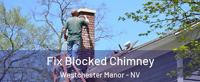 Fix Blocked Chimney Westchester Manor - NV