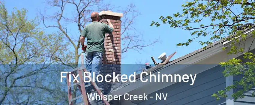 Fix Blocked Chimney Whisper Creek - NV