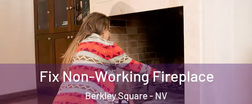 Fix Non-Working Fireplace Berkley Square - NV