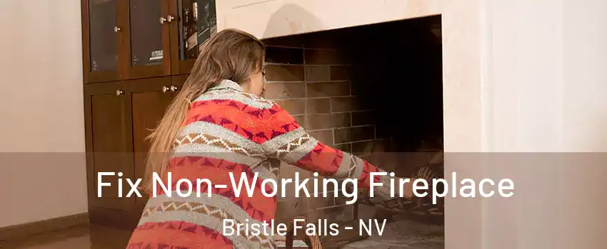 Fix Non-Working Fireplace Bristle Falls - NV