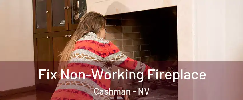 Fix Non-Working Fireplace Cashman - NV
