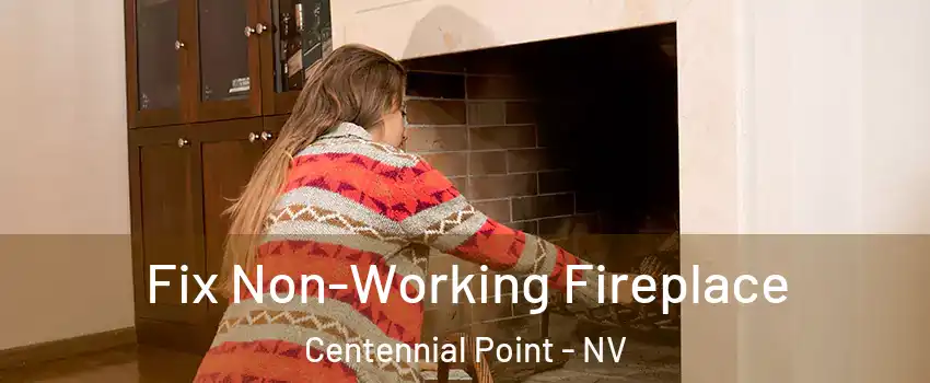 Fix Non-Working Fireplace Centennial Point - NV