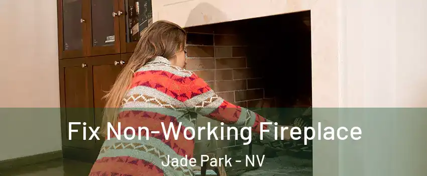 Fix Non-Working Fireplace Jade Park - NV