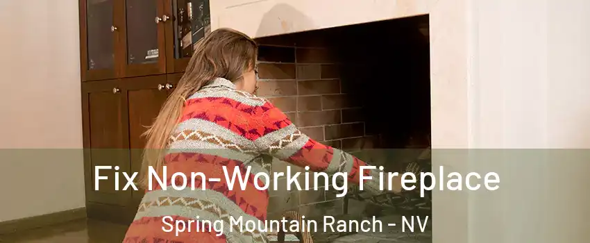 Fix Non-Working Fireplace Spring Mountain Ranch - NV