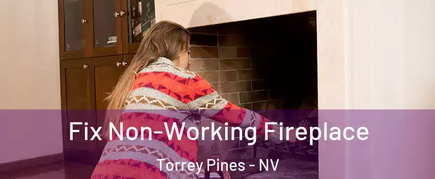 Fix Non-Working Fireplace Torrey Pines - NV