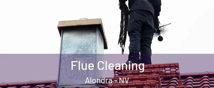 Flue Cleaning Alondra - NV