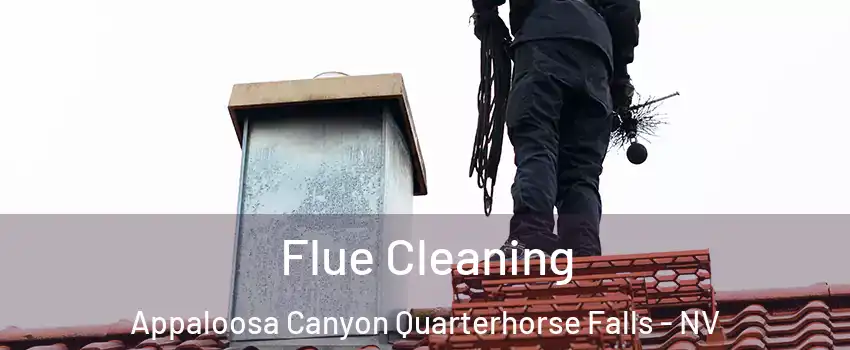 Flue Cleaning Appaloosa Canyon Quarterhorse Falls - NV