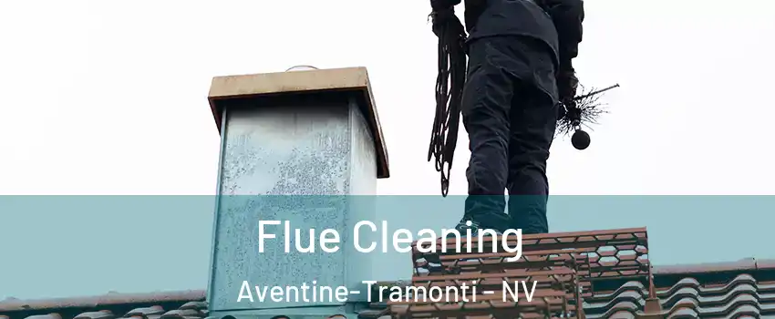 Flue Cleaning Aventine-Tramonti - NV