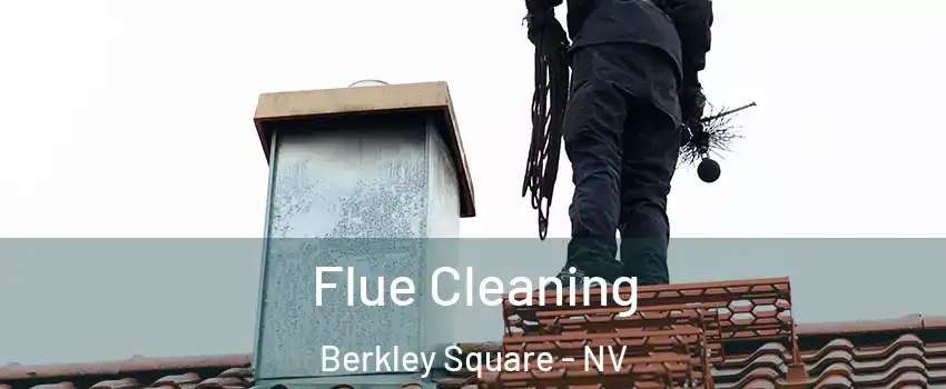 Flue Cleaning Berkley Square - NV