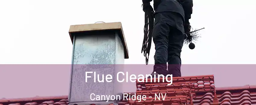 Flue Cleaning Canyon Ridge - NV