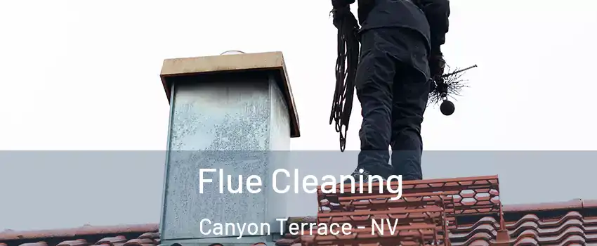 Flue Cleaning Canyon Terrace - NV