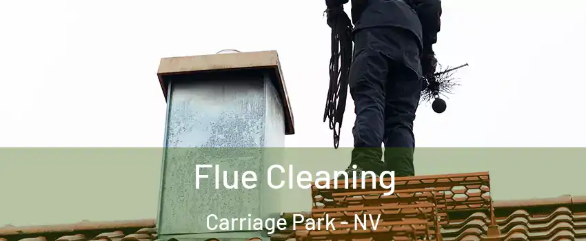 Flue Cleaning Carriage Park - NV