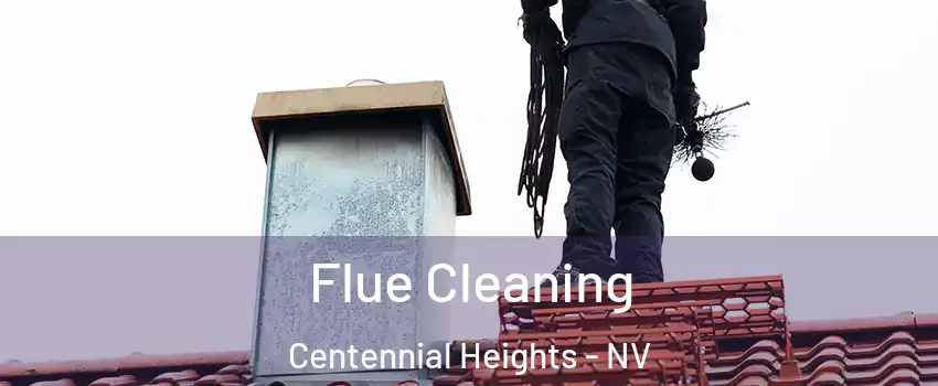 Flue Cleaning Centennial Heights - NV