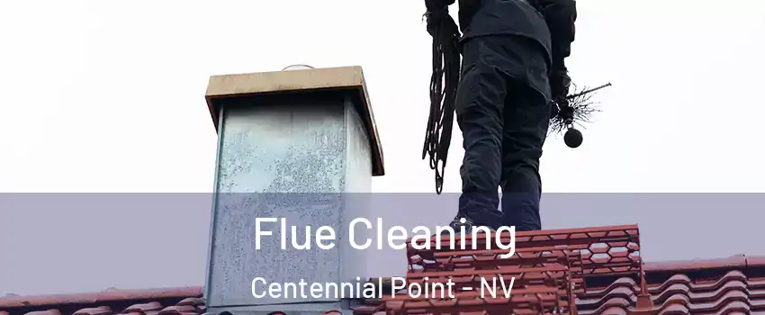 Flue Cleaning Centennial Point - NV