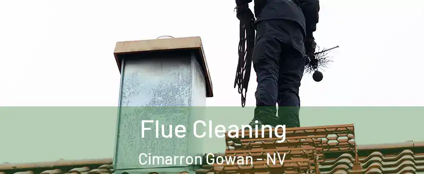 Flue Cleaning Cimarron Gowan - NV