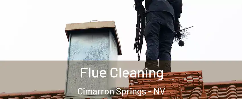 Flue Cleaning Cimarron Springs - NV