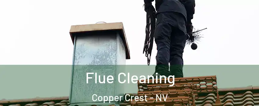 Flue Cleaning Copper Crest - NV