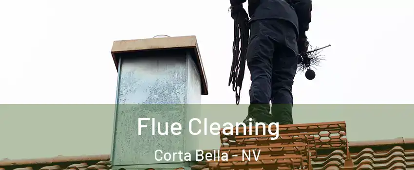 Flue Cleaning Corta Bella - NV