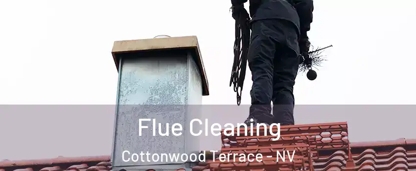 Flue Cleaning Cottonwood Terrace - NV