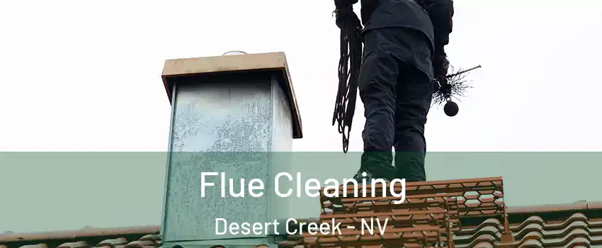 Flue Cleaning Desert Creek - NV