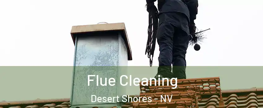 Flue Cleaning Desert Shores - NV