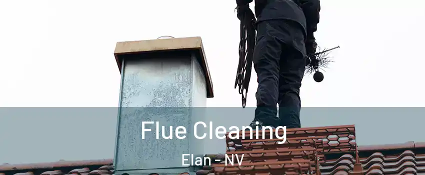 Flue Cleaning Elan - NV