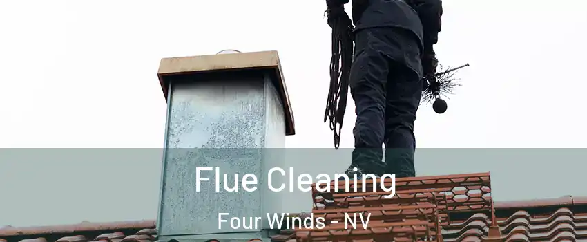 Flue Cleaning Four Winds - NV