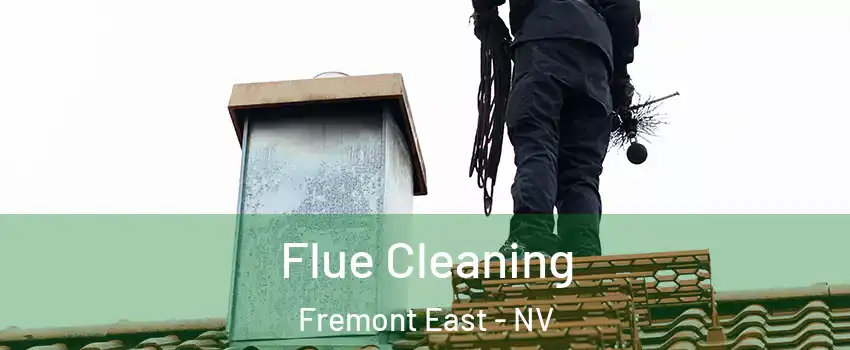 Flue Cleaning Fremont East - NV