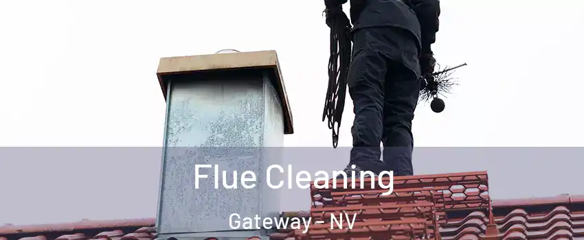 Flue Cleaning Gateway - NV