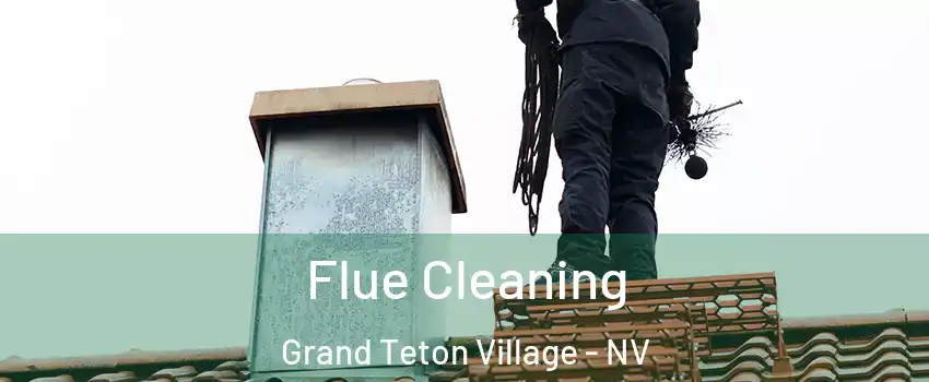 Flue Cleaning Grand Teton Village - NV