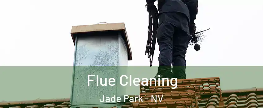 Flue Cleaning Jade Park - NV