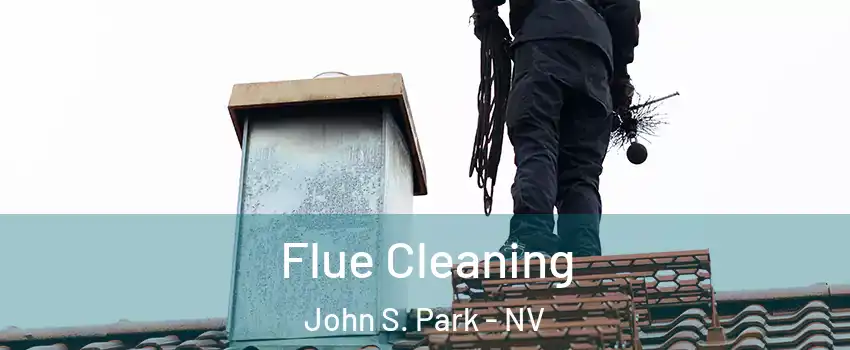 Flue Cleaning John S. Park - NV