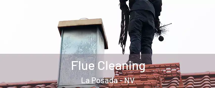 Flue Cleaning La Posada - NV