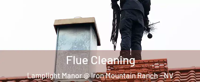 Flue Cleaning Lamplight Manor @ Iron Mountain Ranch - NV