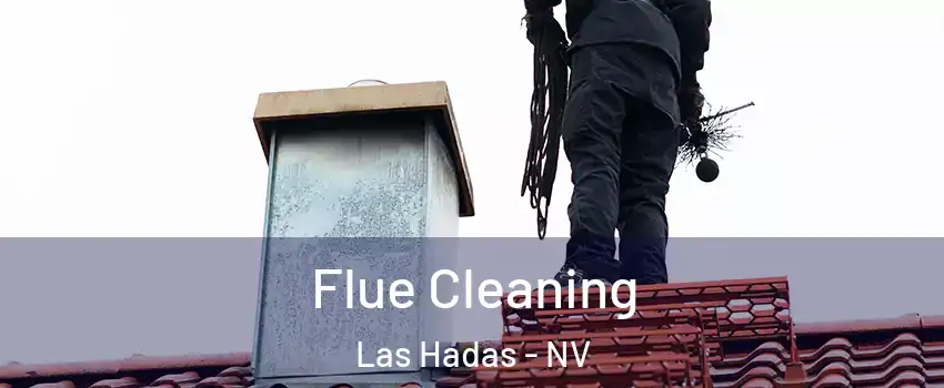 Flue Cleaning Las Hadas - NV